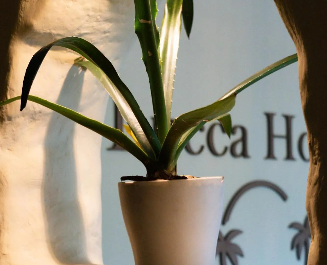 Lucca Hostel Medellín 0*,  Colombia